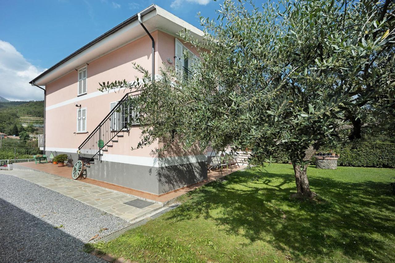 Mansarda Albero Verde Con Piscina Casanova Lerrone Exteriér fotografie